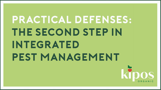 Practical Defenses: The Second Step in Integrated Pest Management