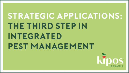 Strategic Applications: The Third Step in Integrated Pest Management