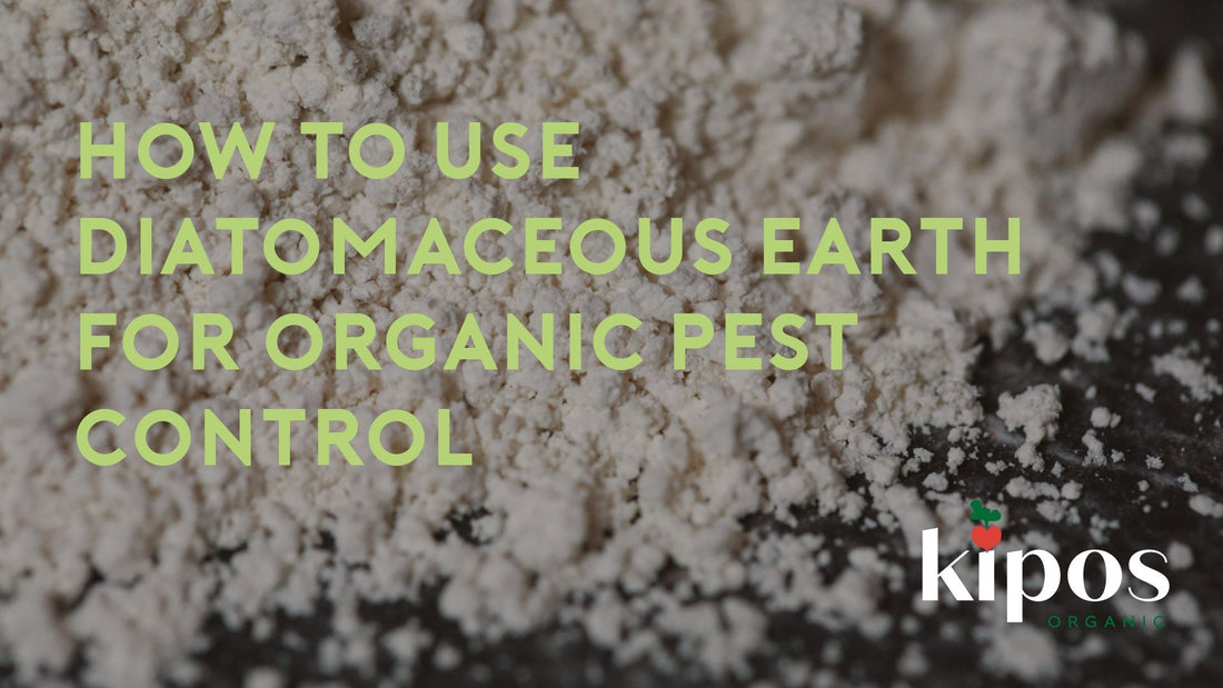 How to Use Diatomaceous Earth for Organic Pest Control