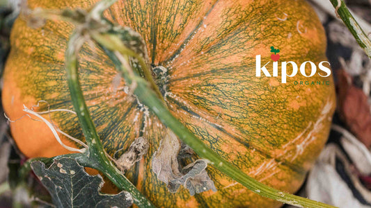 Fall Garden Cleanup: How to Prepare Your Garden for Winter