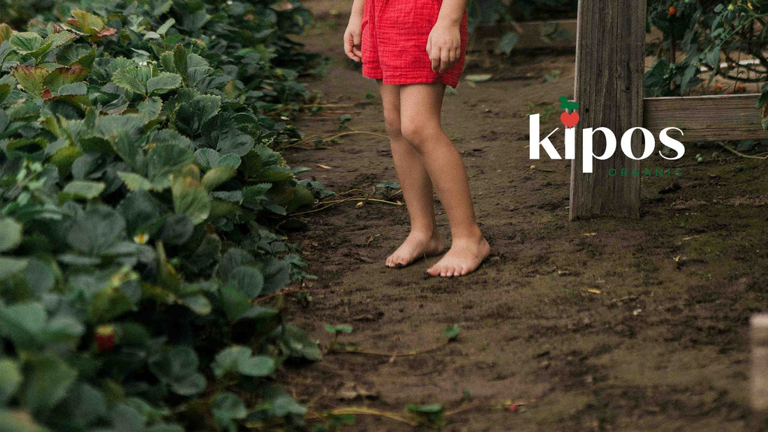Integrated Pest Management 101: Building Healthier Gardens Through Prevention