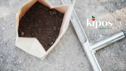 Soil Testing: A Health Checkup for Your Garden