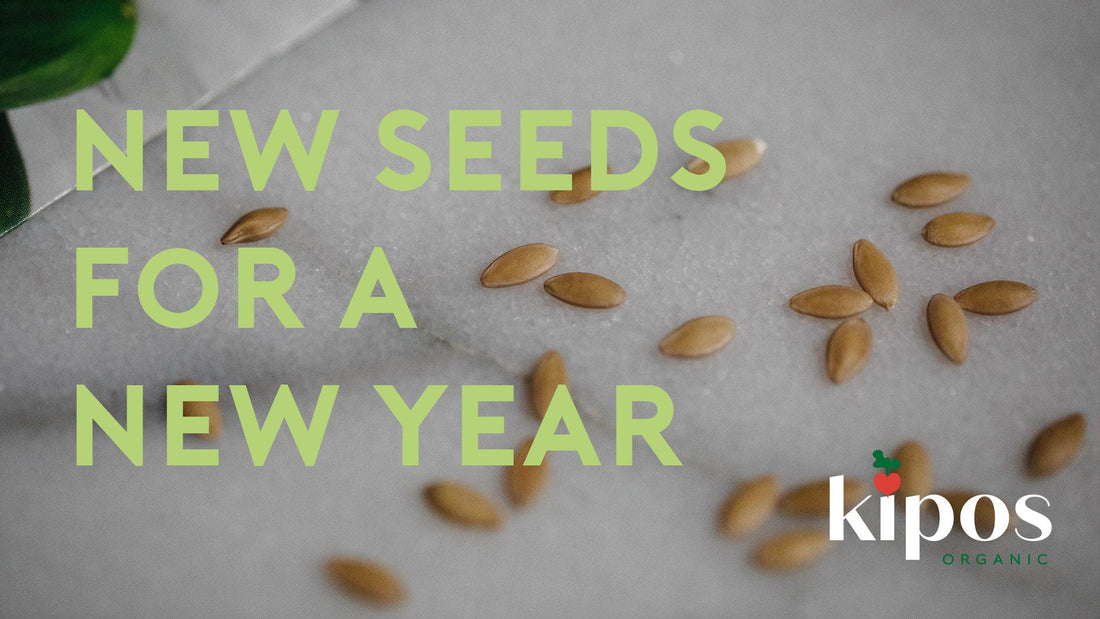 New Seeds for a New Year
